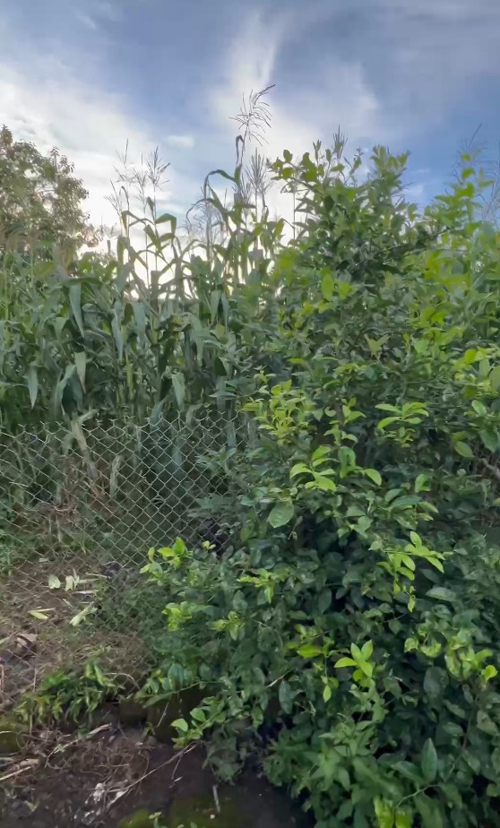 Casa En venta Macas Barrio "La 27 de Febrero"