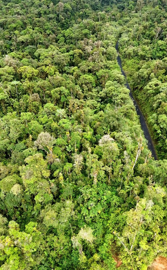 Finca de 100 hectáreas sector Cumandá provincia del Pastaza