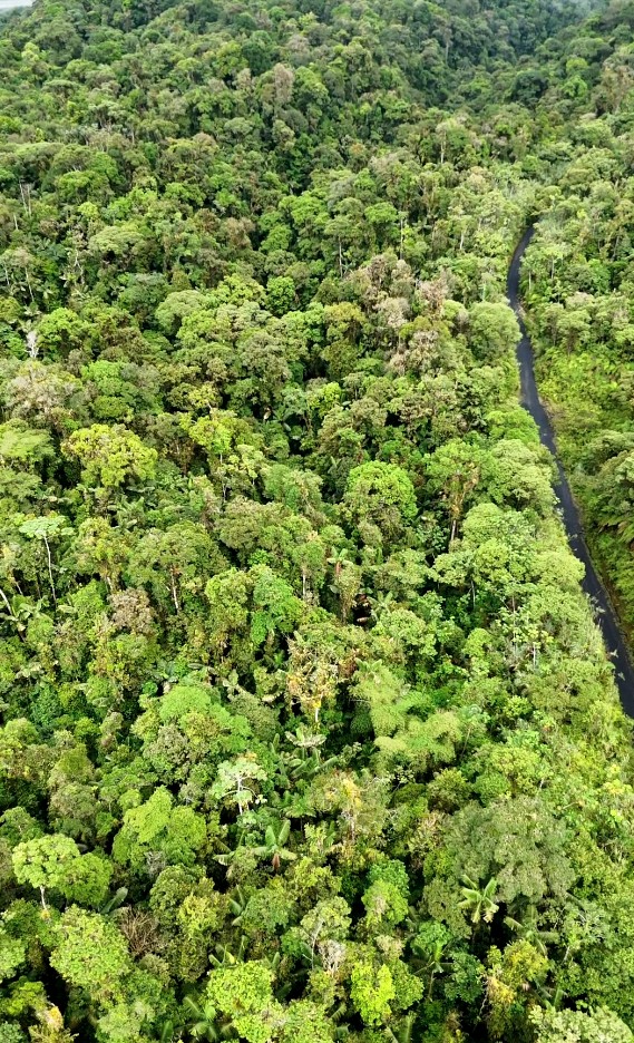Finca de 100 hectáreas sector Cumandá provincia del Pastaza