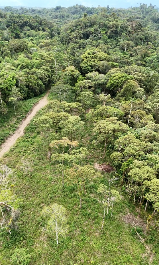 Finca de 100 hectáreas sector Cumandá provincia del Pastaza