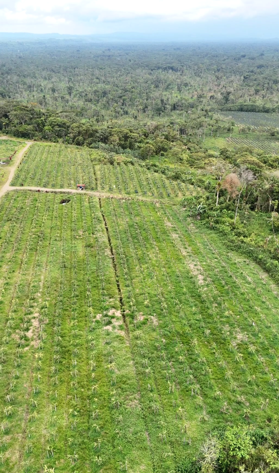 Captura de pantalla 2025-11-14 163842 Finca en Palora 44 HAS