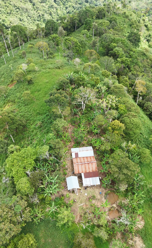 🌿 Finca de 64 hectáreas en Limión, sector San Salvador🌿