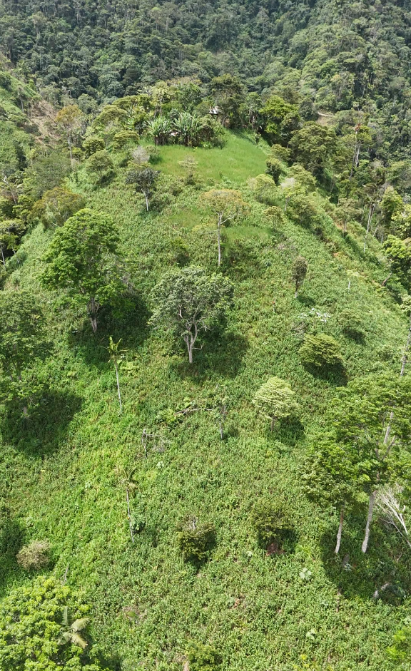 🌿 Finca de 64 hectáreas en Limión, sector San Salvador🌿