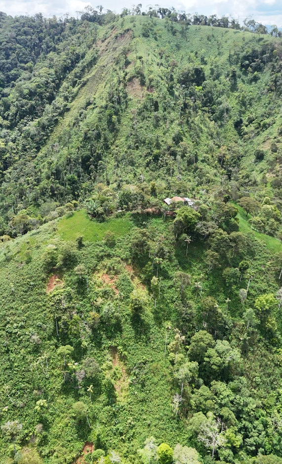 🌿 Finca de 64 hectáreas en Limión, sector San Salvador🌿
