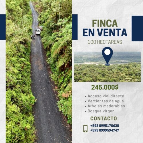 Finca de 100 hectáreas sector Cumandá provincia del Pastaza