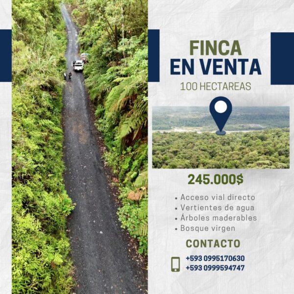 Finca de 100 hectáreas sector Cumandá provincia del Pastaza