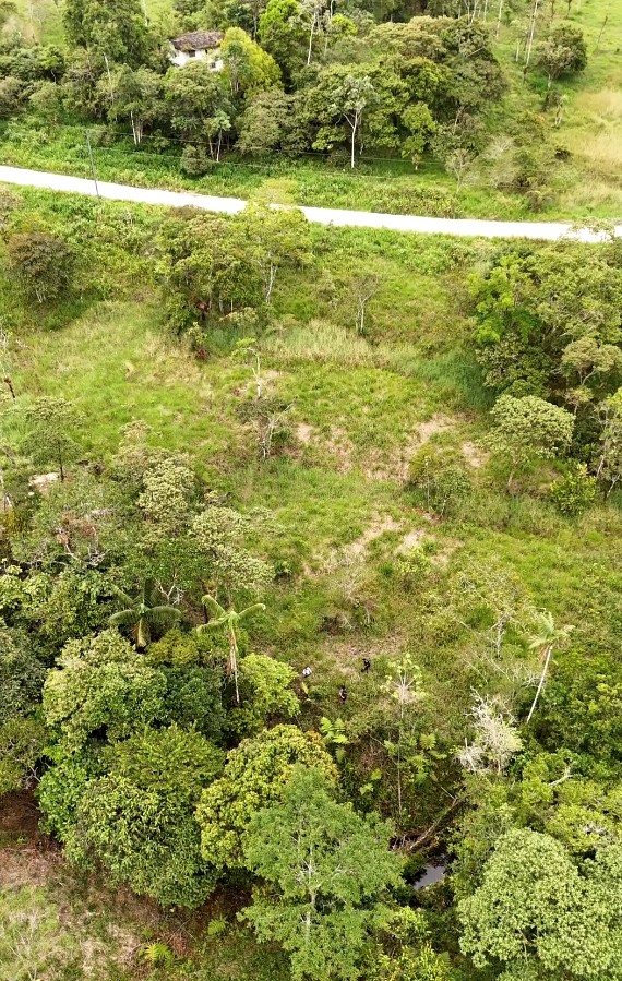 FINCA 14 HECTAREAS PALORA