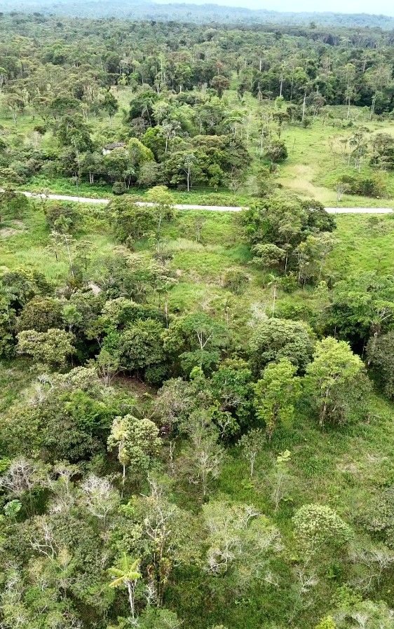 FINCA 14 HECTAREAS PALORA