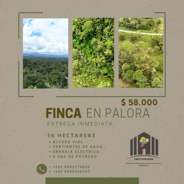 FINCA 14 HECTAREAS PALORA