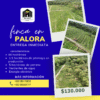 PORTADA FINCA 44 HAS PALORA INMOBILIARIA Finca en Palora 44 HAS