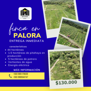 Finca en Palora 44 HAS