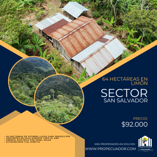 🌿 Finca de 64 hectáreas en Limión, sector San Salvador🌿