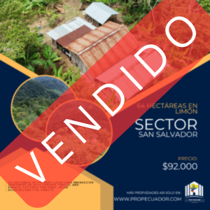 🌿 Finca de 64 hectáreas en Limión, sector San Salvador🌿