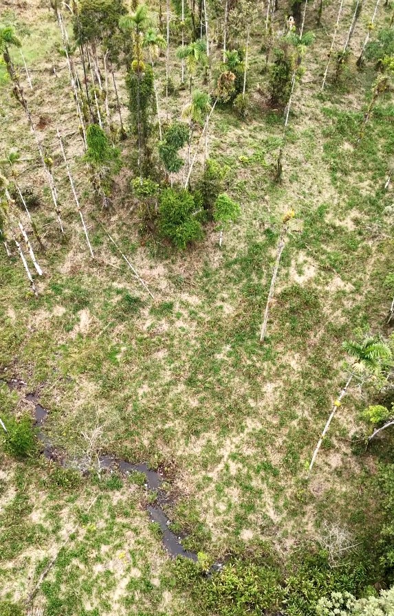 FINCA 14 HECTAREAS PALORA