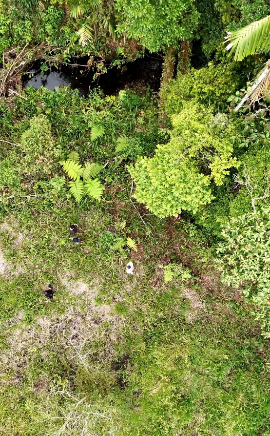 FINCA 14 HECTAREAS PALORA