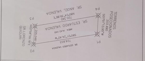 FINCA 14 HECTAREAS PALORA