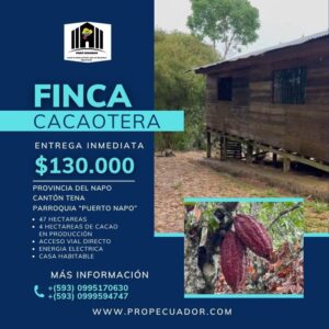 Finca Cacaotera Provincia del Napo Cantón Tena