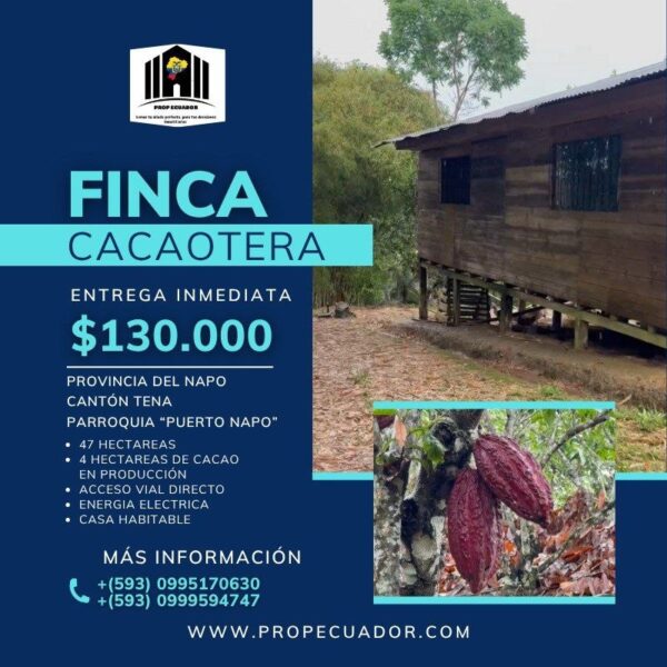 Finca Cacaotera Provincia del Napo Cantón Tena