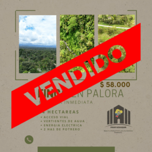 FINCA 14 HECTAREAS PALORA