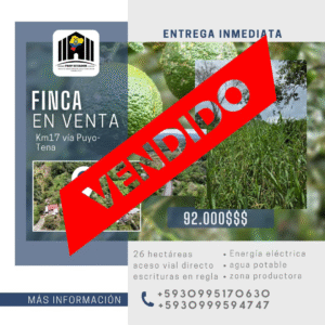 ¡Gran oportunidad de inversión en la Amazonía!   Ubicación privilegiada: Vía Puyo – Tena, km 17, parroquia Fátima  Finca de 26 hectáreas