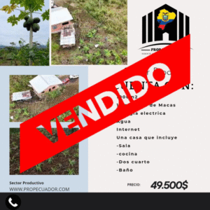 🏡 Terreno con casa en venta – Macas, Sector Proaño 🌿
