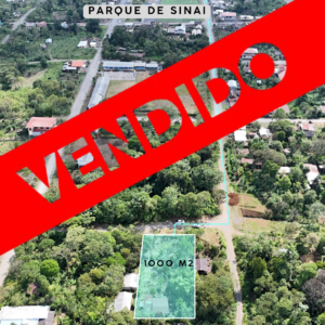1000 METROS CUADRADOS EN EL SECTOR DE SINAÍ