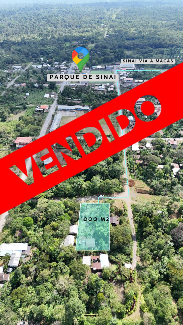 1000 METROS CUADRADOS EN EL SECTOR DE SINAÍ