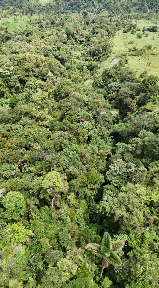 22 hectáreas en el sector el abanico vía Riobamba