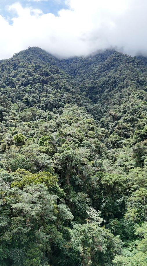 22 hectáreas en el sector el abanico vía Riobamba
