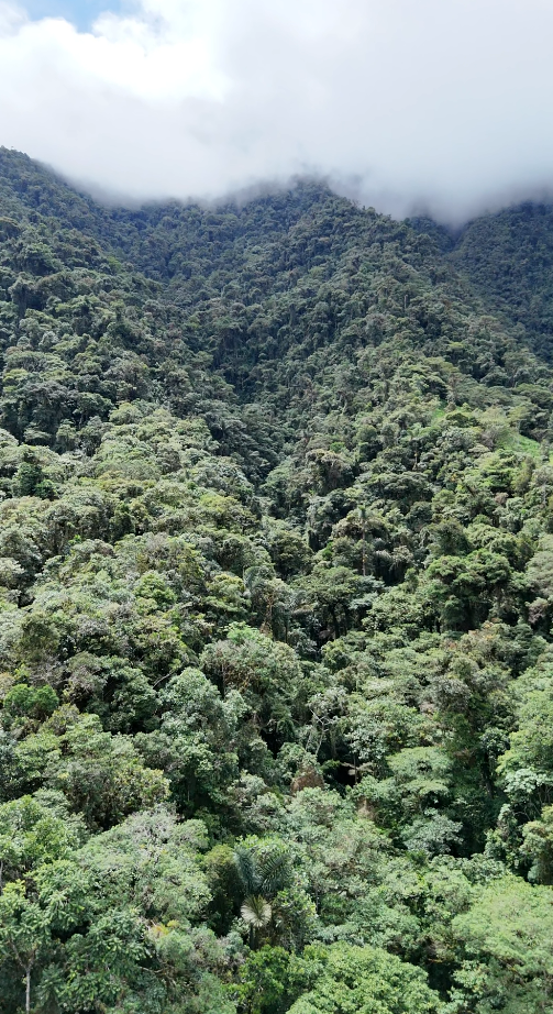 22 hectáreas en el sector el abanico vía Riobamba