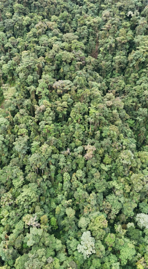 22 hectáreas en el sector el abanico vía Riobamba