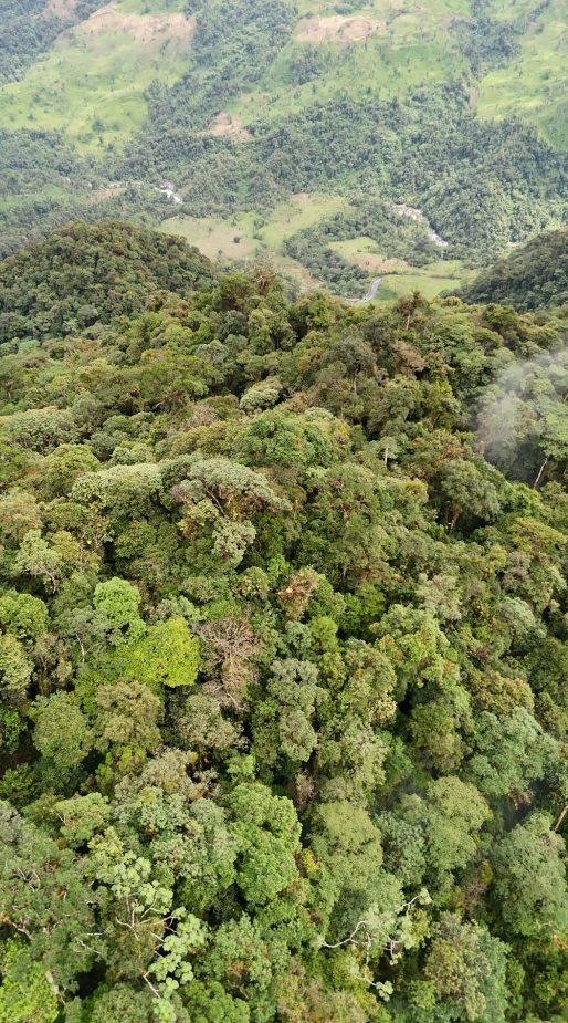 22 hectáreas en el sector el abanico vía Riobamba