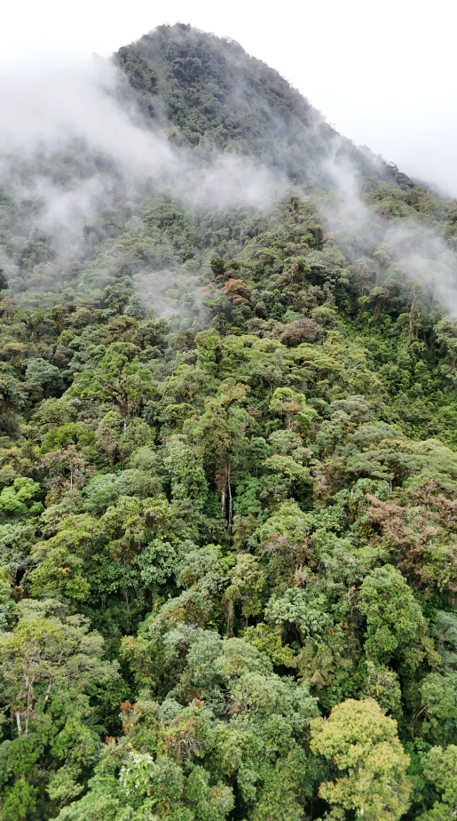 22 hectáreas en el sector el abanico vía Riobamba