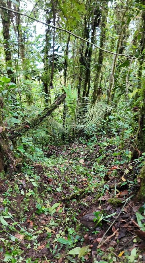 22 hectáreas en el sector el abanico vía Riobamba