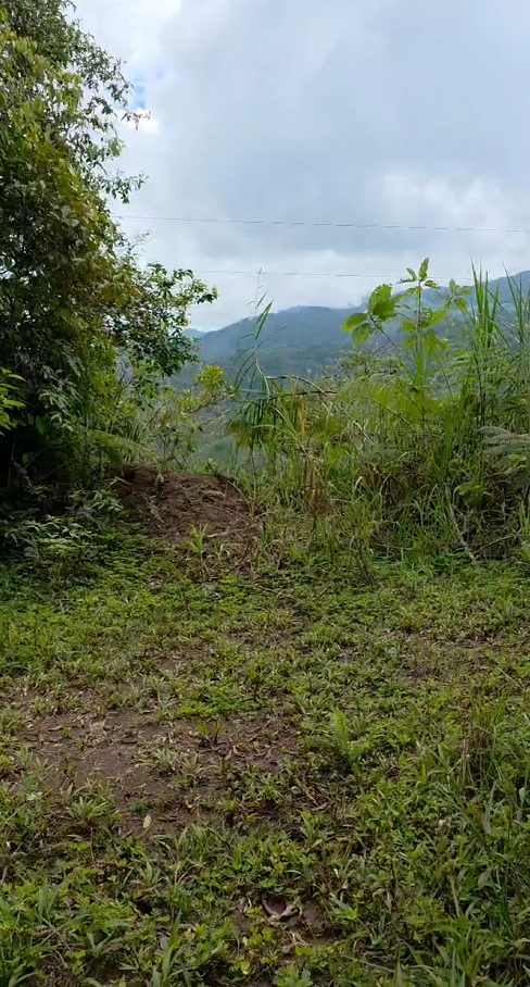Finca de 49 Hectáreas en Sucúa sector Cusuimi