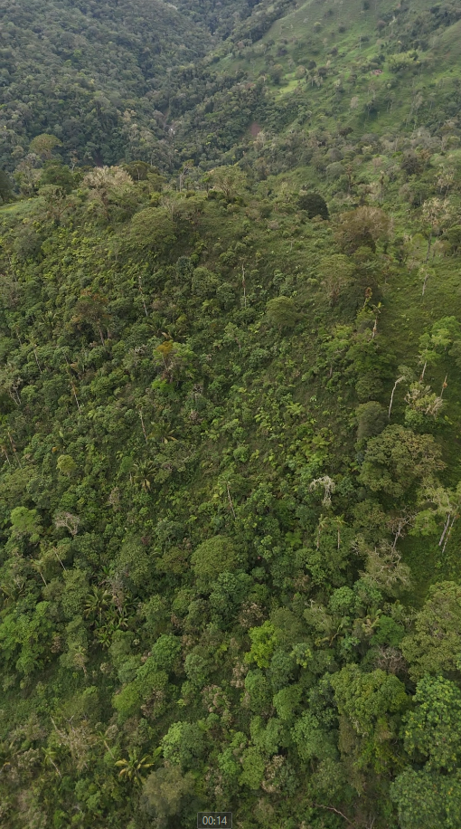 Finca de 49 Hectáreas en Sucúa sector Cusuimi