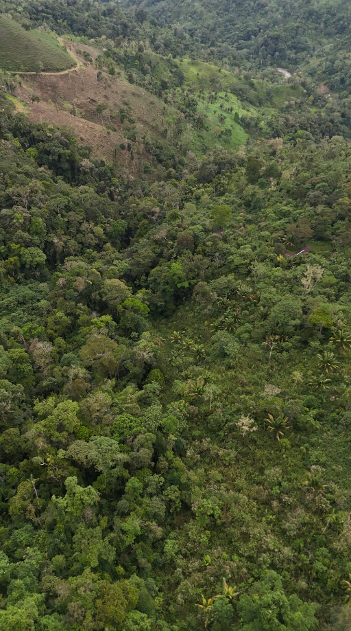 Finca de 49 Hectáreas en Sucúa sector Cusuimi