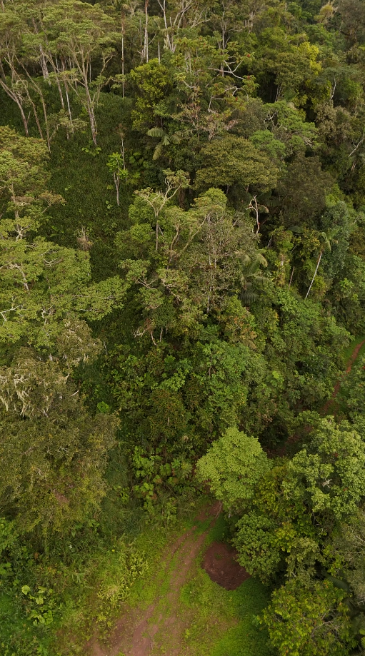 Finca de 49 Hectáreas en Sucúa sector Cusuimi