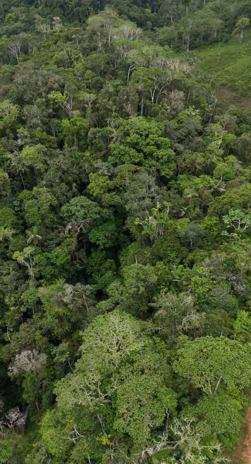 Finca de 49 Hectáreas en Sucúa sector Cusuimi