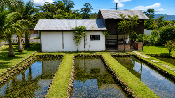 🏊‍♂️ En venta ''Quinta Lopez'' (5,000m²) COMERCIAL Y TURÍSTICO 🏠