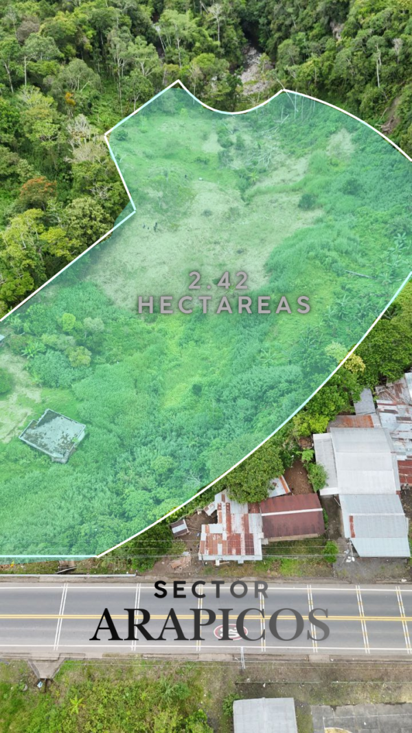 Sucúa - Arapicos (2.4 Hectareas MACAS - CUENCA)
