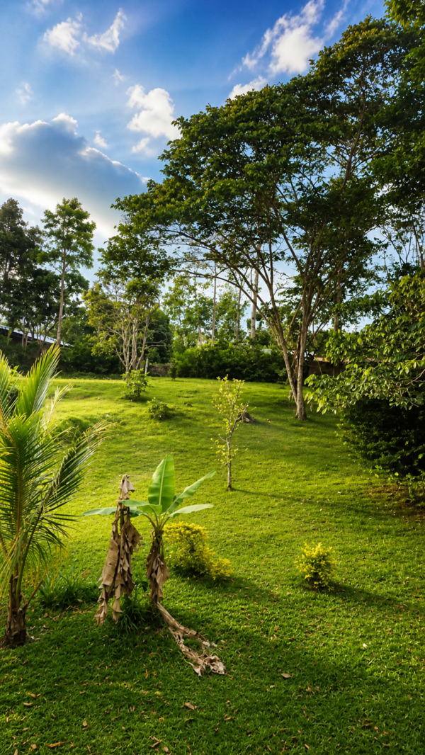 🏊‍♂️ En venta ''Quinta Lopez'' (5,000m²) COMERCIAL Y TURÍSTICO 🏠