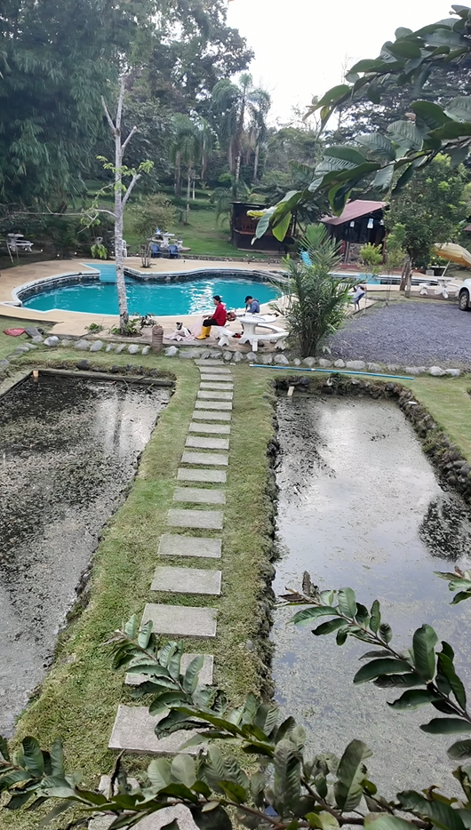 🏊‍♂️ En venta ''Quinta Lopez'' (5,000m²) COMERCIAL Y TURÍSTICO 🏠