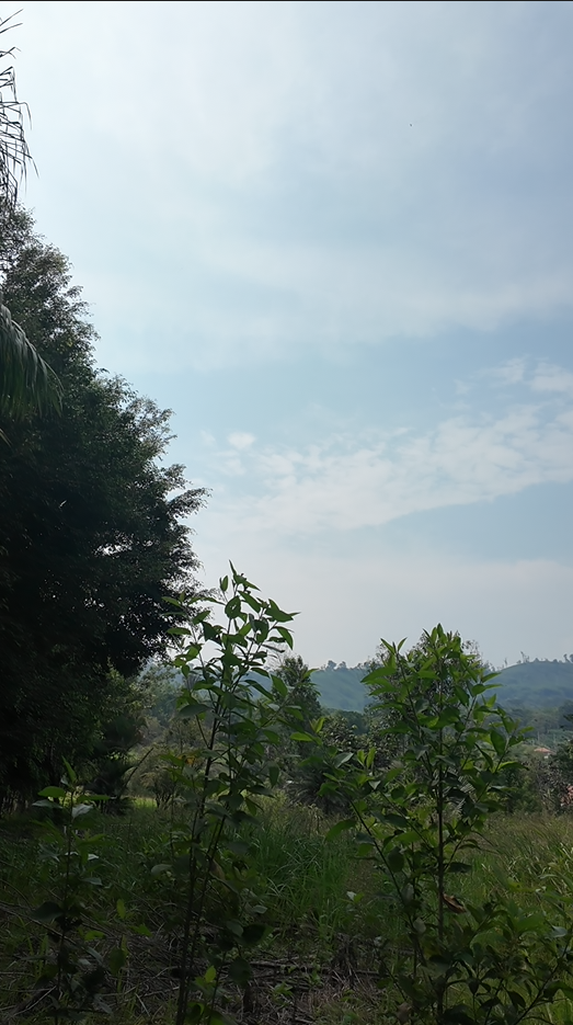 Barrio la cruz 1481m² <<Sucúa - Via Tambache>>