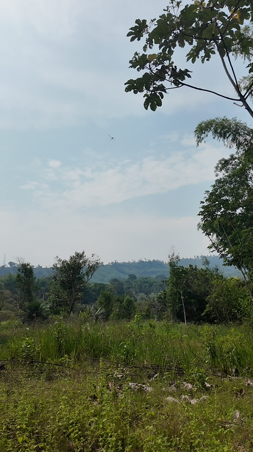 Barrio la cruz 1481m² <<Sucúa - Via Tambache>>