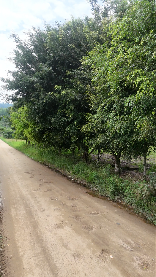 Barrio la cruz 1481m² <<Sucúa - Via Tambache>>