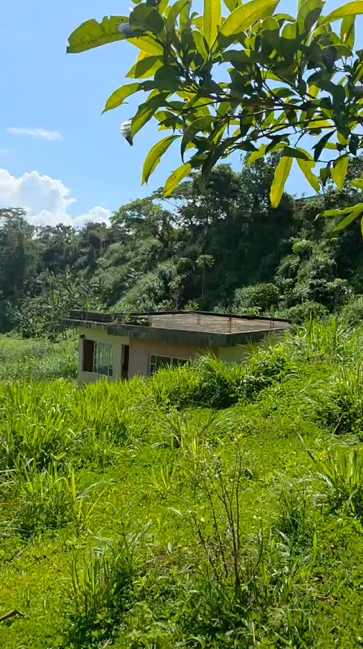 Sucúa - Arapicos (2.4 Hectareas MACAS - CUENCA)