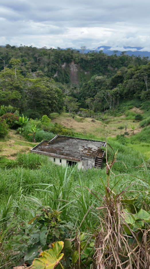 Sucúa - Arapicos (2.4 Hectareas MACAS - CUENCA)