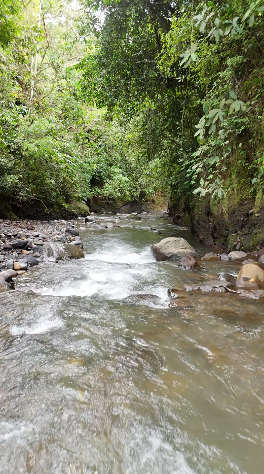 Sucúa - Arapicos (2.4 Hectareas MACAS - CUENCA)