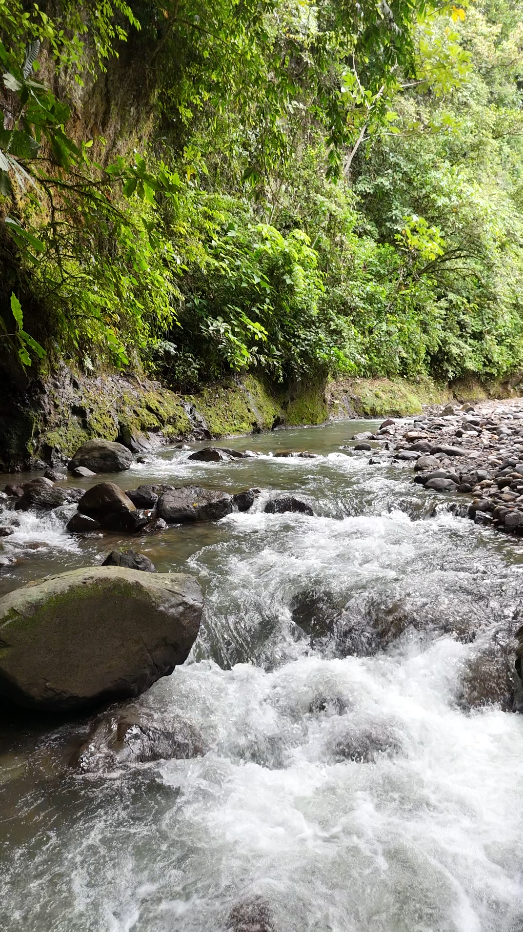 Sucúa - Arapicos (2.4 Hectareas MACAS - CUENCA)
